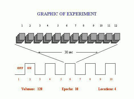graphics_of_epoch_10.jpg graphics_of_epoch_10.jpg