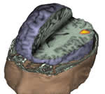 3D-render2_St.jpg
