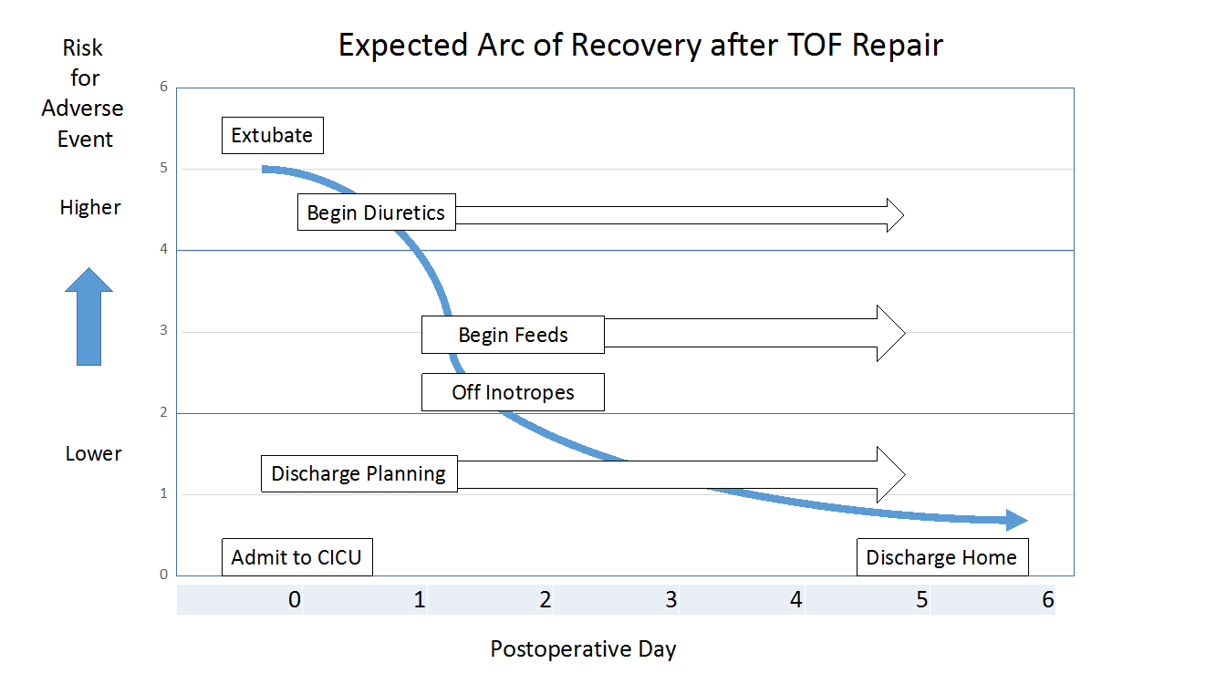 2019_ArcofRecovery.png 2019_ArcofRecovery.png